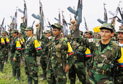 Farc grupo