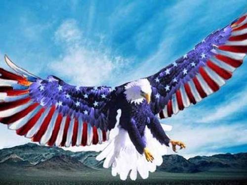 aguila-eeuu1