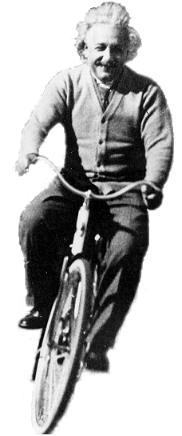 albert