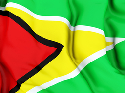 GUYANA BANDERA