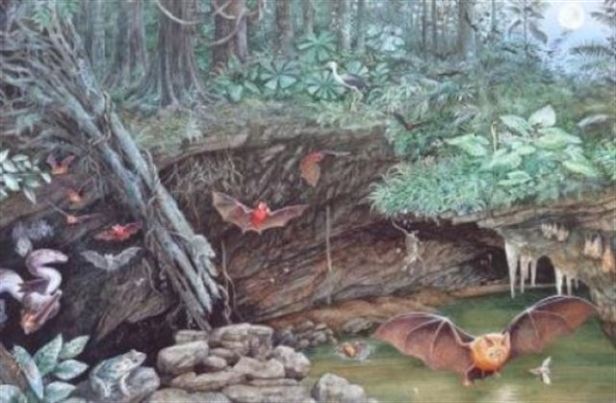 fotonoticia_20140514103350_640