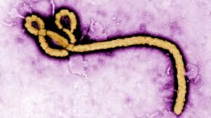 ebola-virus