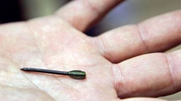 flechette-580x325