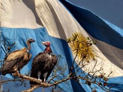 fondos-buitres-argentina