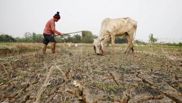 sequia_colombia.jpg_1718483346