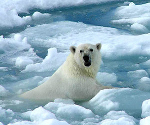 Amenazantes-noticias-sobre-el-cambio-climatico-cubadebate1