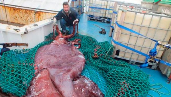 bxqdvqzigaaxlib.jpg_1718483346