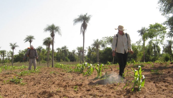 paragiay.jpg_1718483346