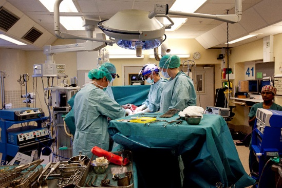 trasplante.jpg_724518101