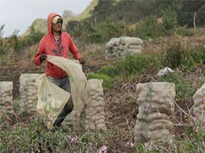 Colombia-pobres-agricultura