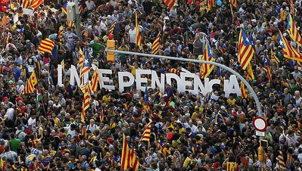 referendo_cat.jpg_1718483346