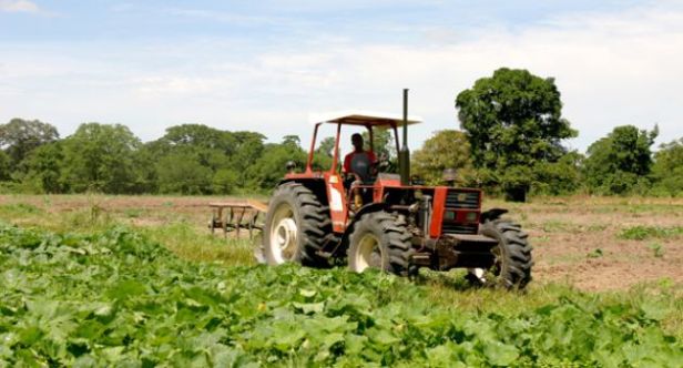 49tractor3grande1328128526