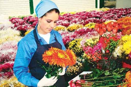 trabajadores de las flores