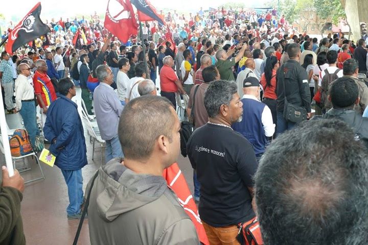 venezuela-de-pie-2
