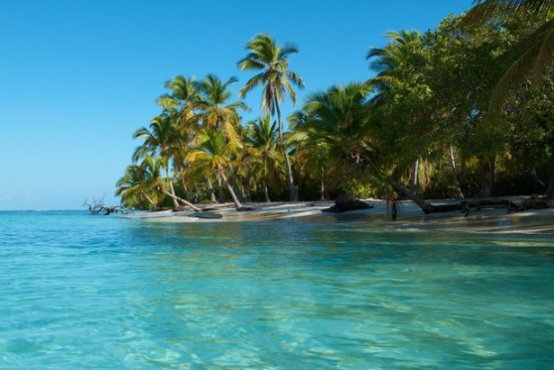 50d2de53-b64c-4dfa-a670-4dc561252741