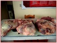 CARNE ADUANA