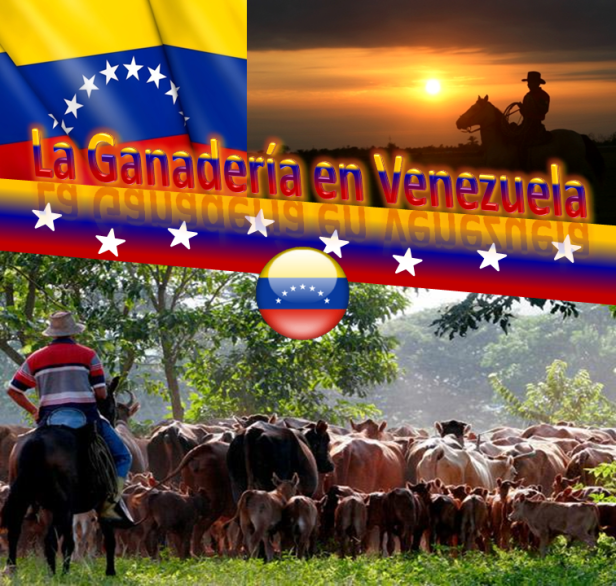 GANADERIAVENEZUELA