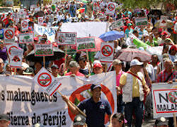Marcha de los ambientalistas por la defensa de la Sierra de Perija00000 - Lenin Cardozo