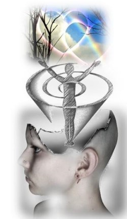 bosques-tropicales-1