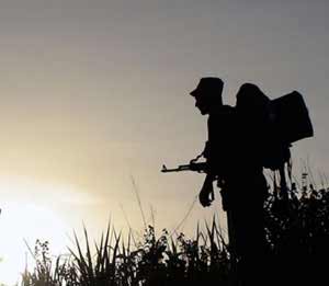 farc-tregua