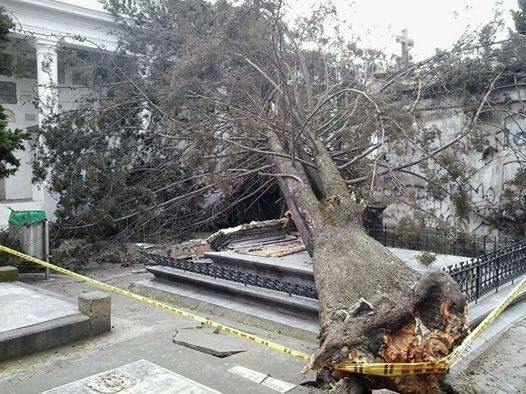 jaime-pardo-leal-tumba