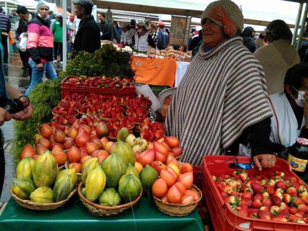mercado-campesino