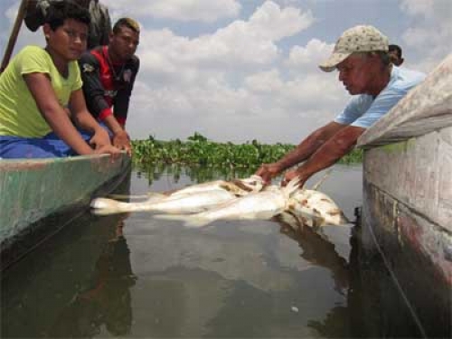 crímen-ecológico-Ciénaga-de-Magangué-Bolívar