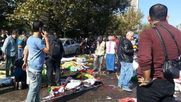 cq9o2kzweaagiqx.jpg_1718483346