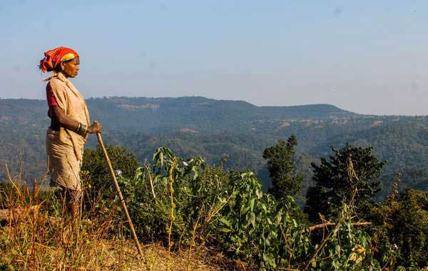 2015_05_dia-meio-ambiente_legenda3_survival-internacional