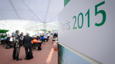 2015_08_legenda3_reproducao