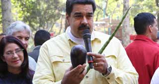 maduro 28