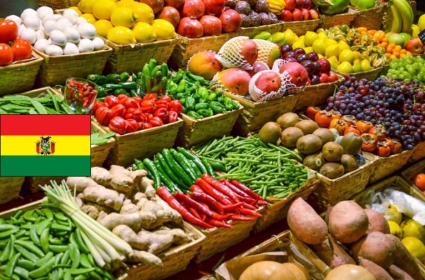 alimentos-bolivia