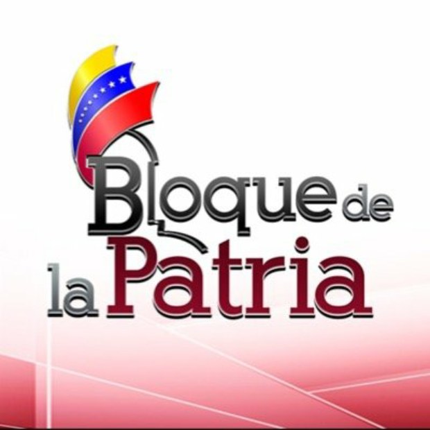 bloque-de-la-patria-logo