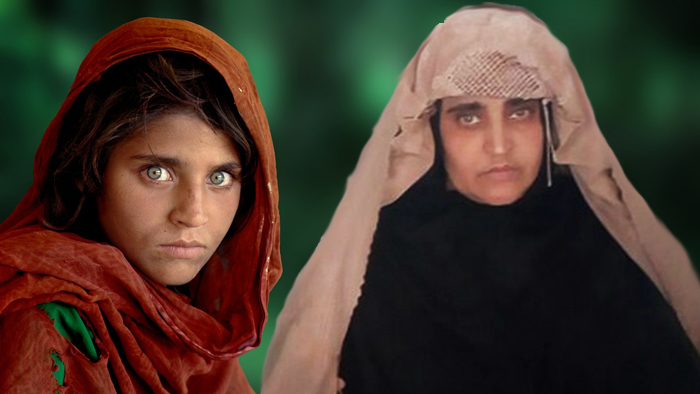 sharbat-gula-antes-ahora