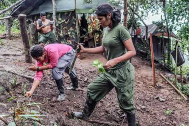 colombia-farc-desmoviliz3