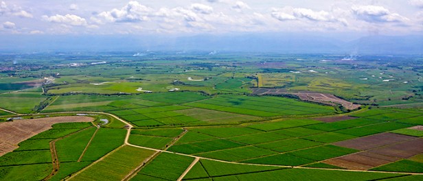 suescun_fuerte_desigualdad_distribucion_rural_propiedad