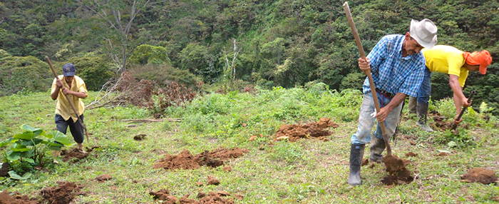 suescun_fuerte_desigualdad_distribucion_rural_reforma_agraria