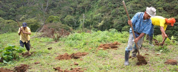 suescun_fuerte_desigualdad_distribucion_rural_reforma_agraria