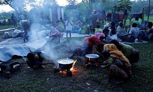 rohinyxs_nueva.jpg_825434843