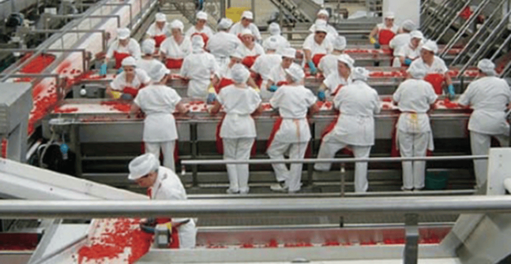 Industria de alimentos crece y empresarios quieren arrebatar derechos a los trabajadores:&nbsp;Sintraimagra