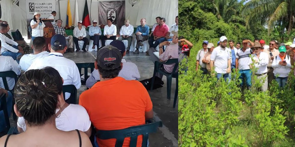Arauca primer departamento declarado libre de cultivos de uso ilícito en&nbsp;Colombia