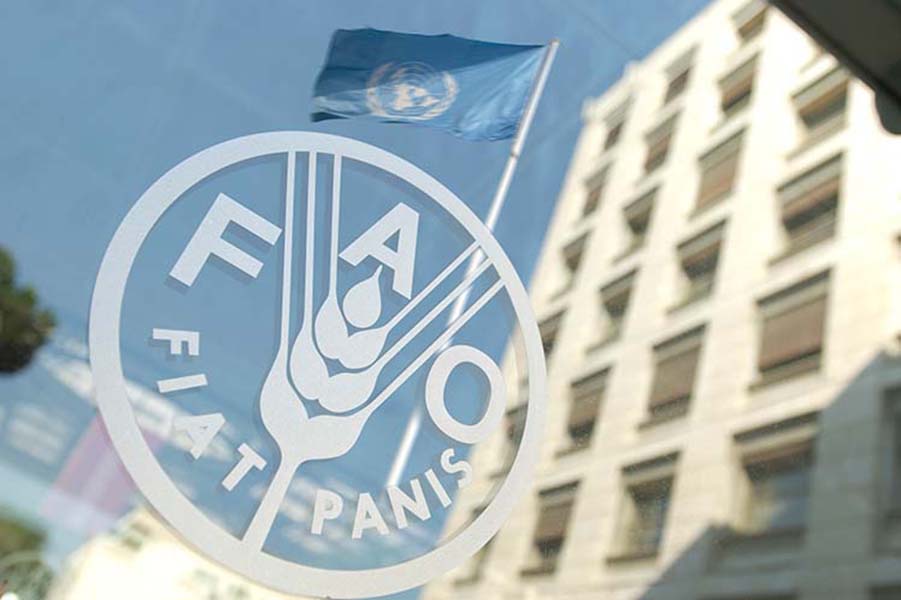 Presentan en FAO Informe mundial sobre las crisis alimentarias&nbsp;2018