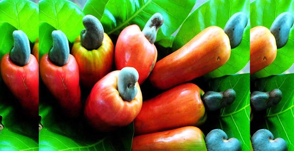 Marañón, el tesoro oculto de la gastronomía&nbsp;salvadoreña