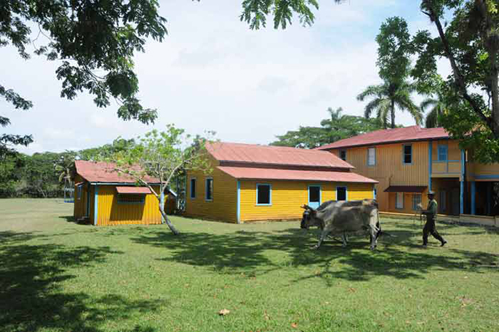 cuba-biran2