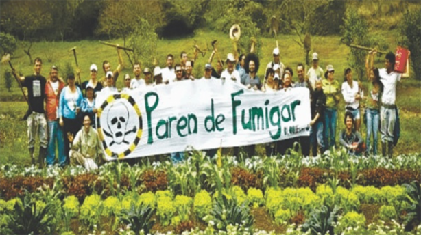 parendefumigar-colombia