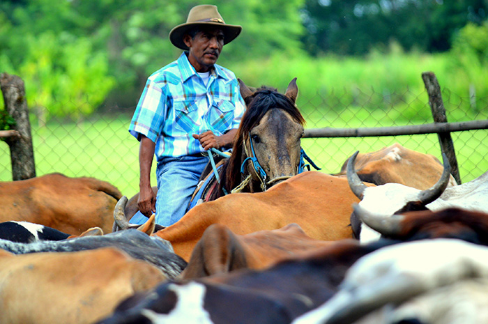 ali-alejandro-primera-cendis-2
