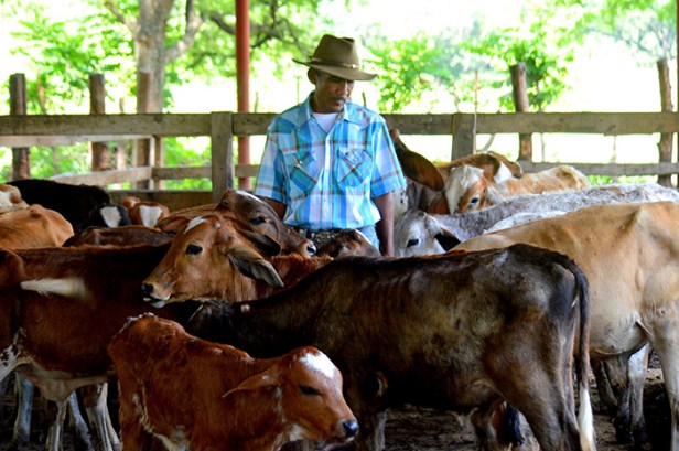 ali-alejandro-primera-cendis-5