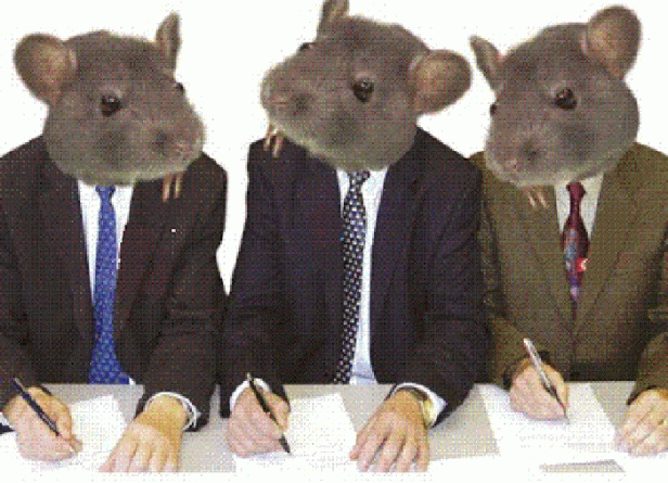 ratas