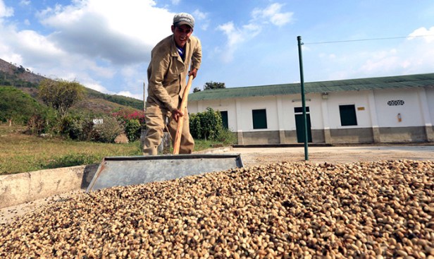 5bf411f0e9180fcc388b4567