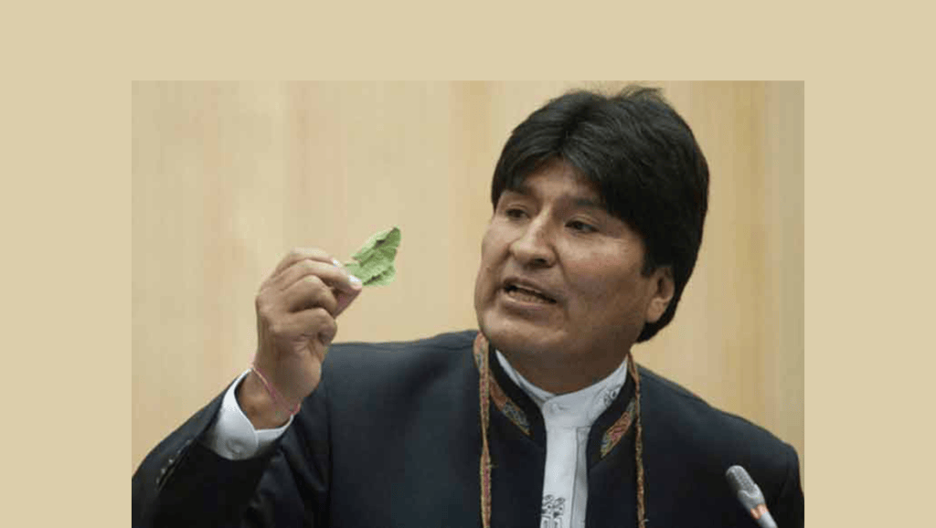 Bolivia rechaza afirmaciones de EE.UU. sobre la hoja de&nbsp;coca